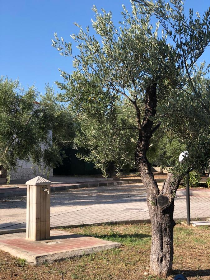 Tenuta Montincello Vieste Exterior photo